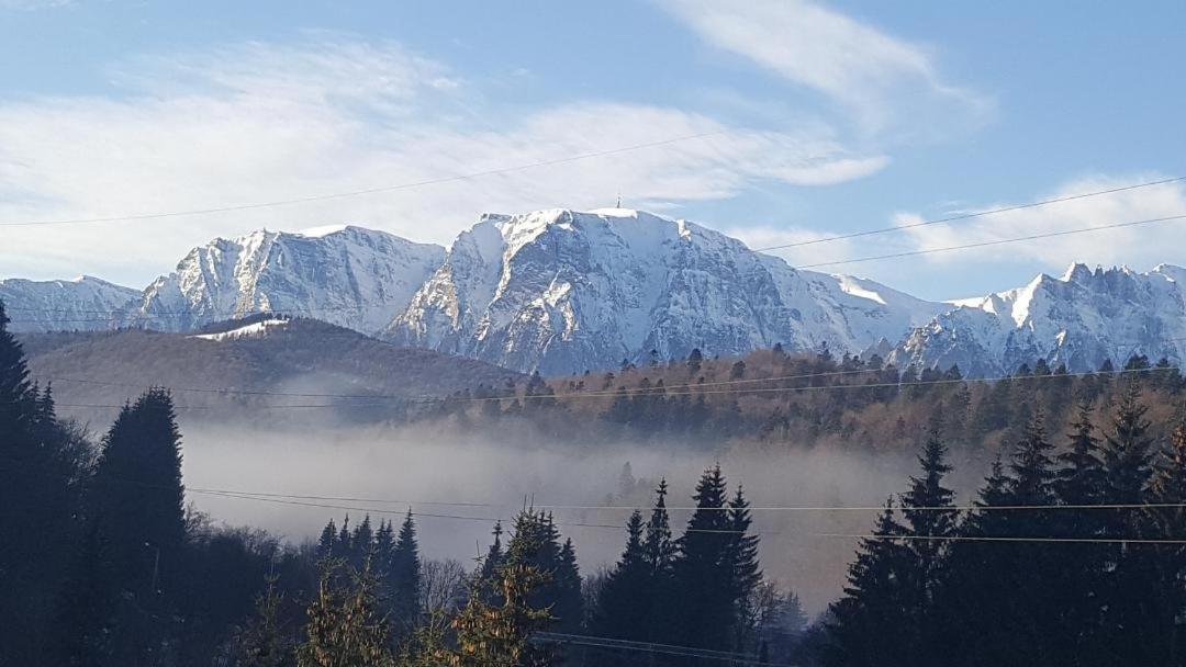 Treasure Mountain Predeal Buitenkant foto