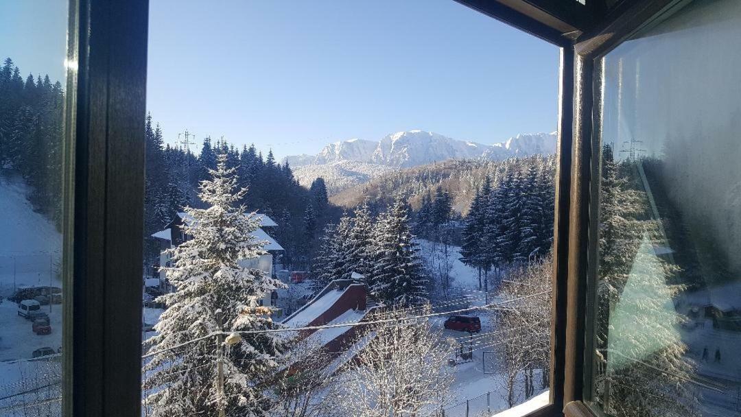Treasure Mountain Predeal Buitenkant foto