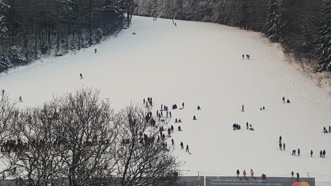 Treasure Mountain Predeal Buitenkant foto